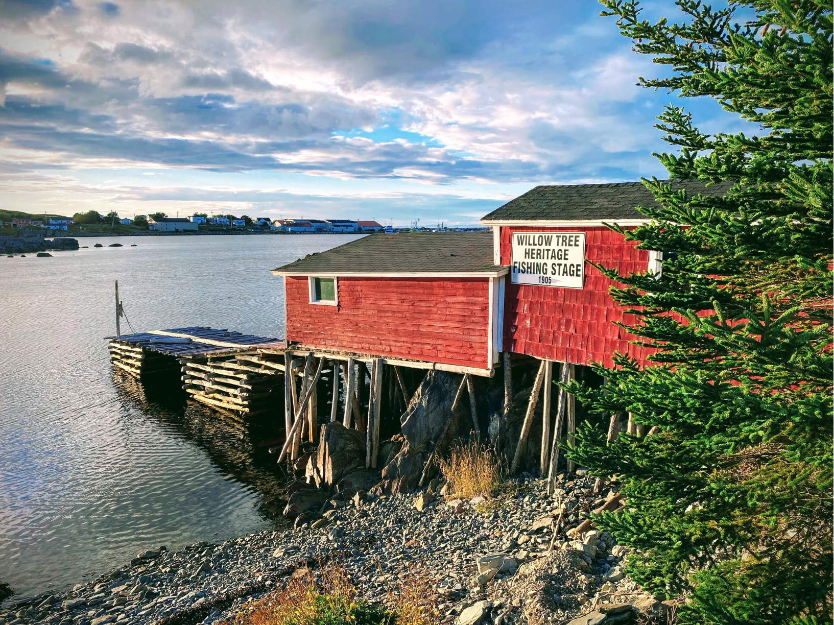 Willow Tree Fishing Stage